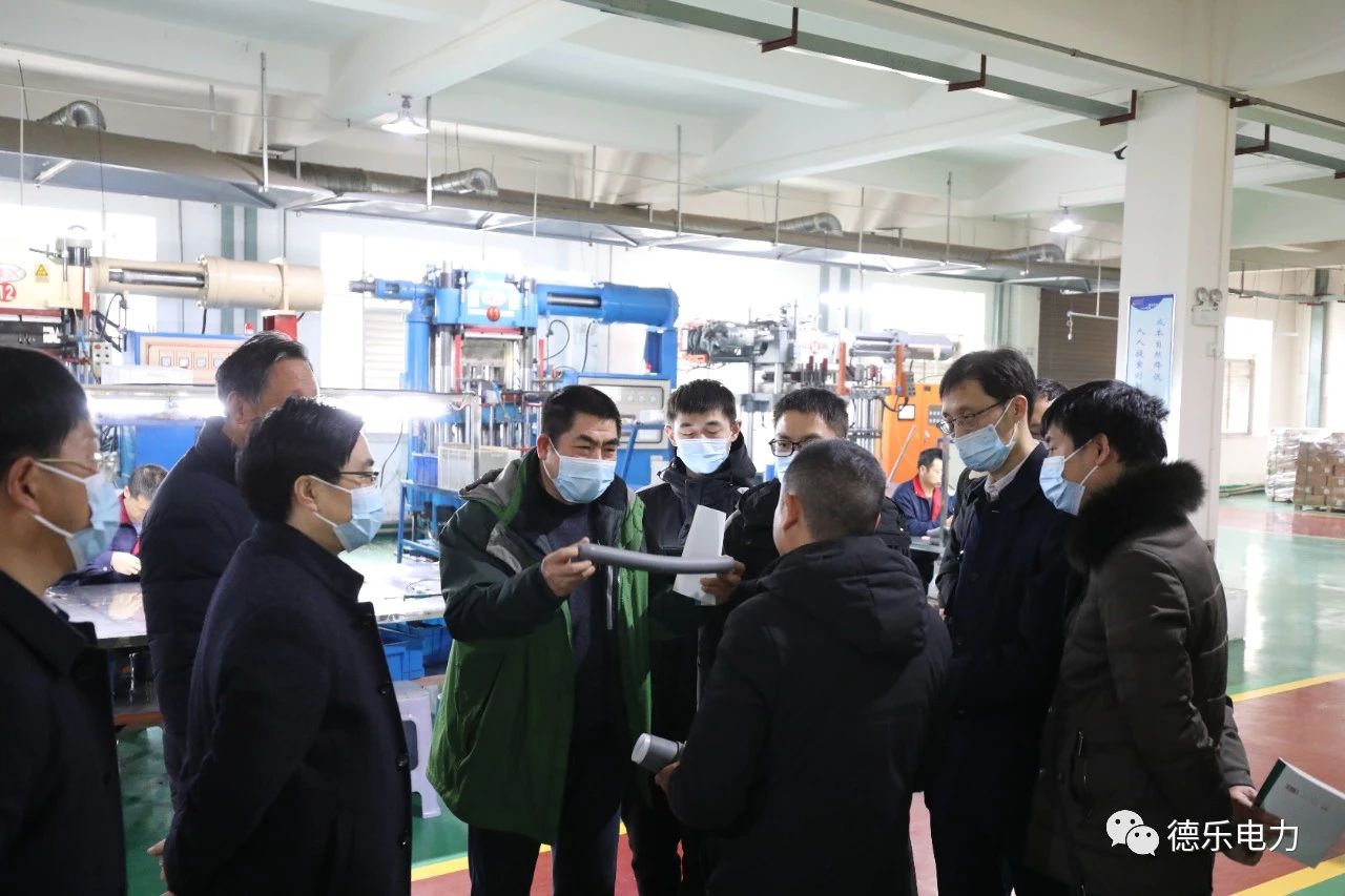 湖北理工學院博士團赴德樂電力展開技術合作活動